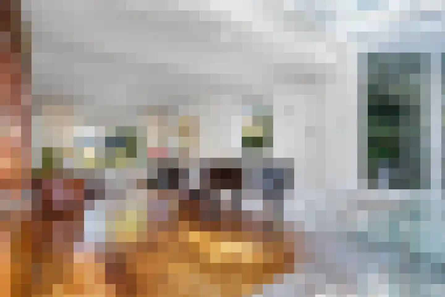 Johannes Nagelhoutlaan 6 Bakhuizen thumbnail 20