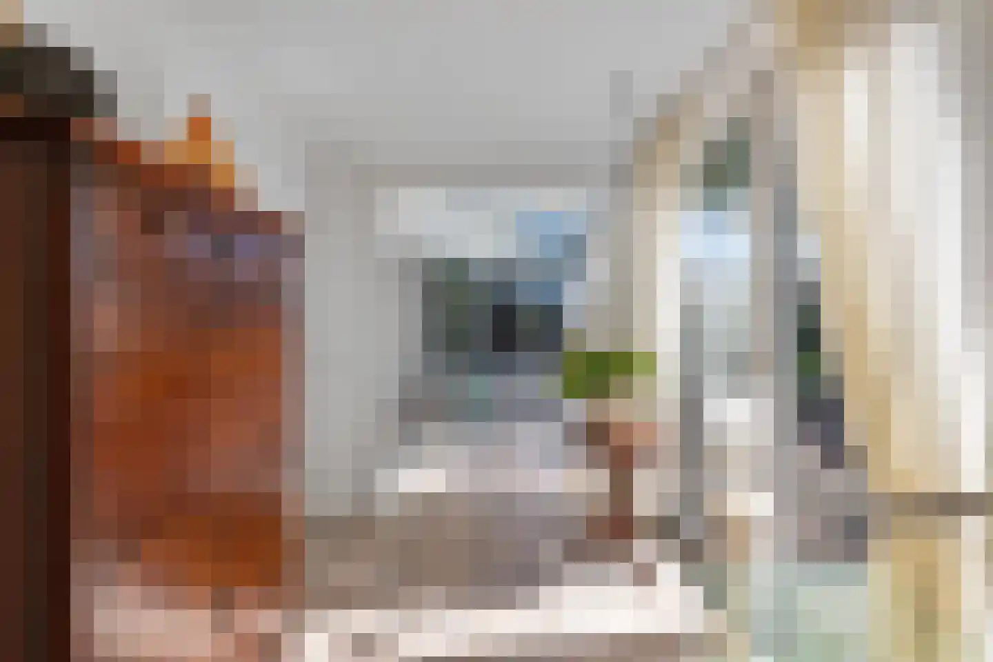 Johannes Nagelhoutlaan 6 Bakhuizen thumbnail 23