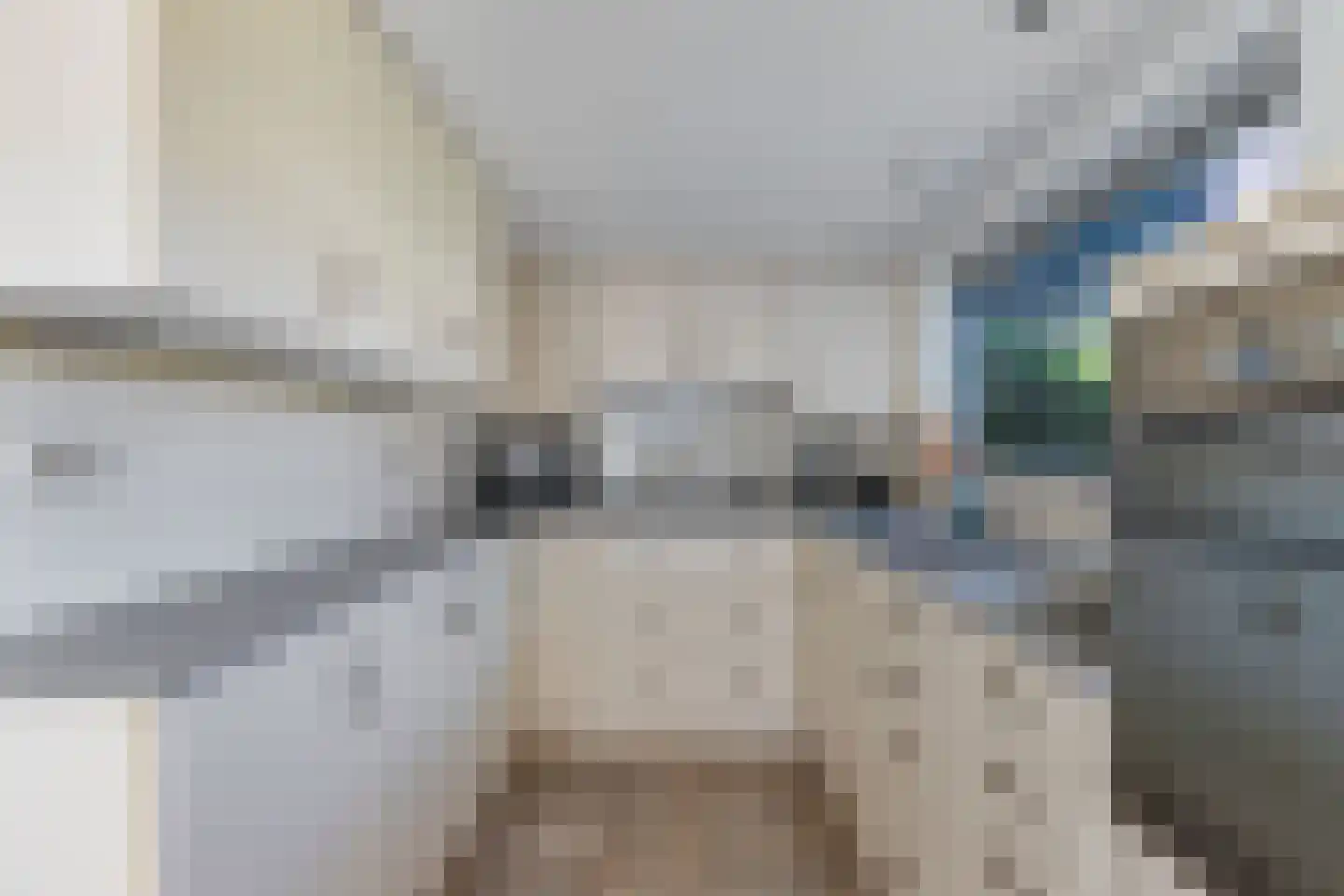 Johannes Nagelhoutlaan 6 Bakhuizen thumbnail 24