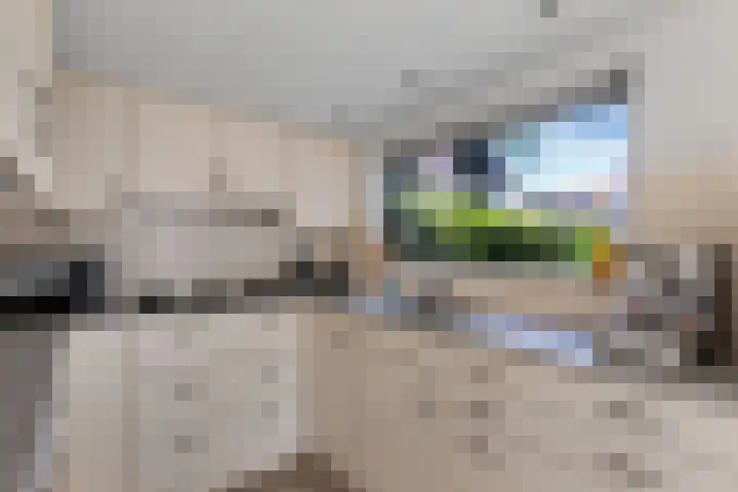 Johannes Nagelhoutlaan 6 Bakhuizen thumbnail 25