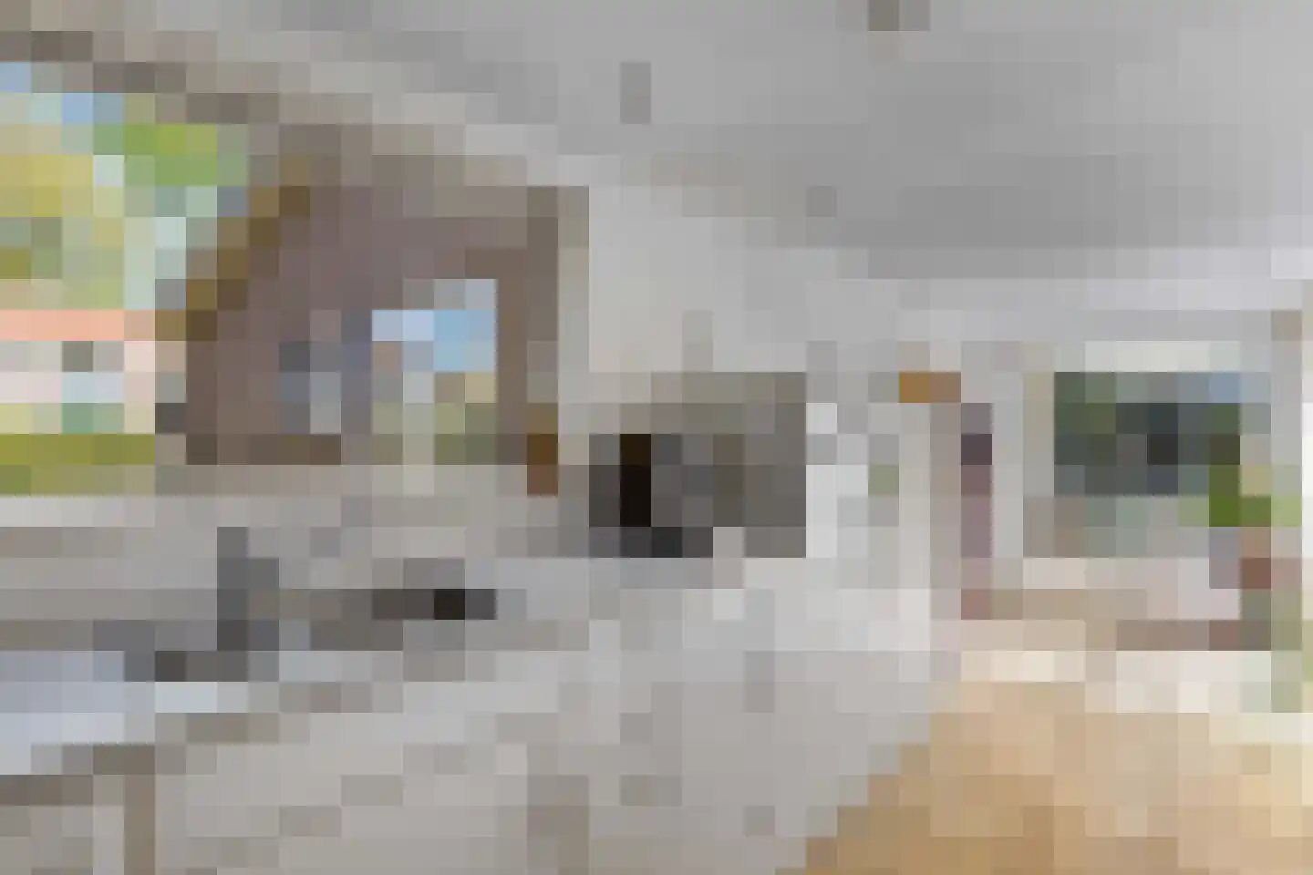 Johannes Nagelhoutlaan 6 Bakhuizen thumbnail 26