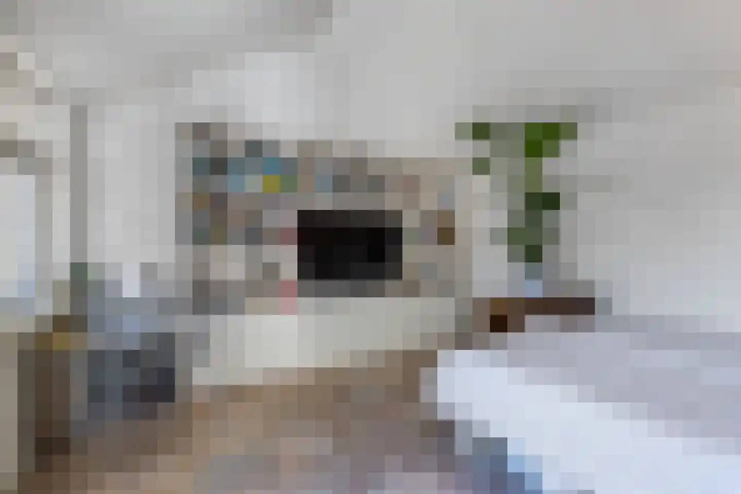 Johannes Nagelhoutlaan 6 Bakhuizen thumbnail 27