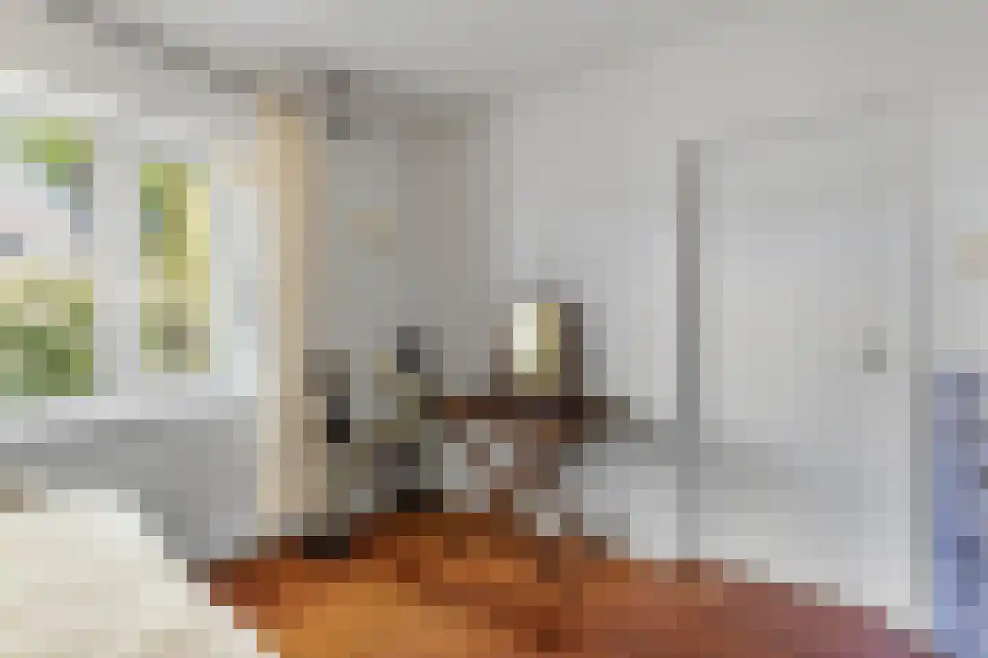 Johannes Nagelhoutlaan 6 Bakhuizen thumbnail 31
