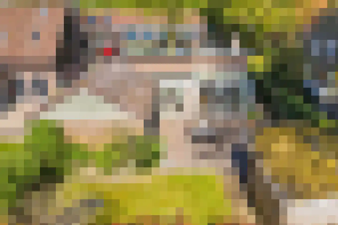 Johannes Nagelhoutlaan 6 Bakhuizen thumbnail 34