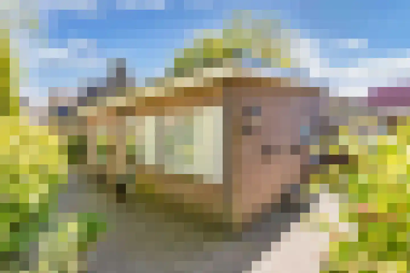 Johannes Nagelhoutlaan 6 Bakhuizen thumbnail 4