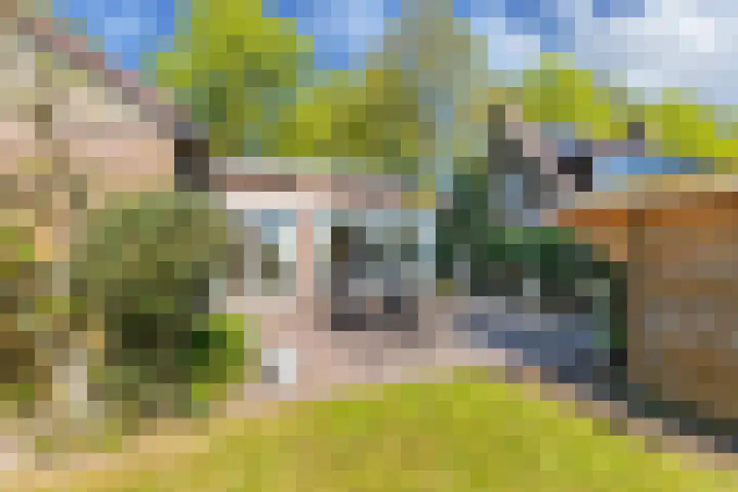 Johannes Nagelhoutlaan 6 Bakhuizen thumbnail 43