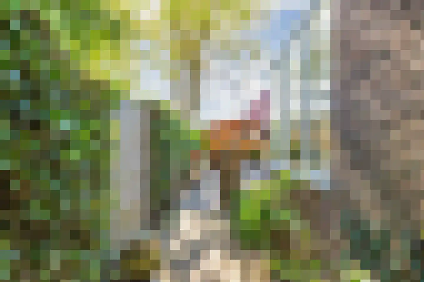 Johannes Nagelhoutlaan 6 Bakhuizen thumbnail 5