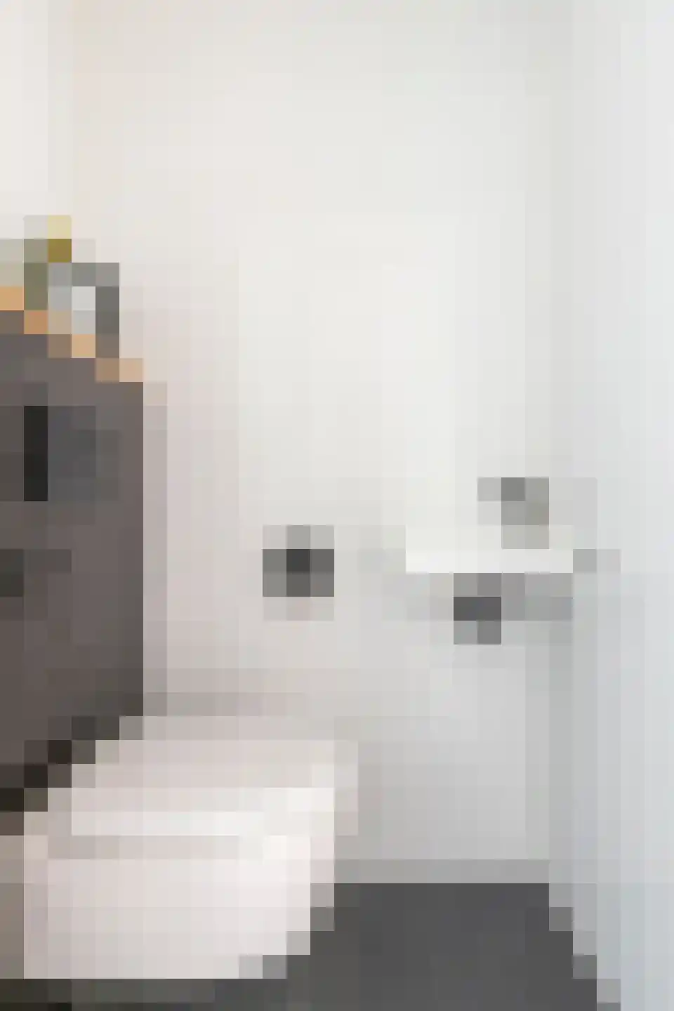 Johannes Petri-laan 13 Harkstede thumbnail 30
