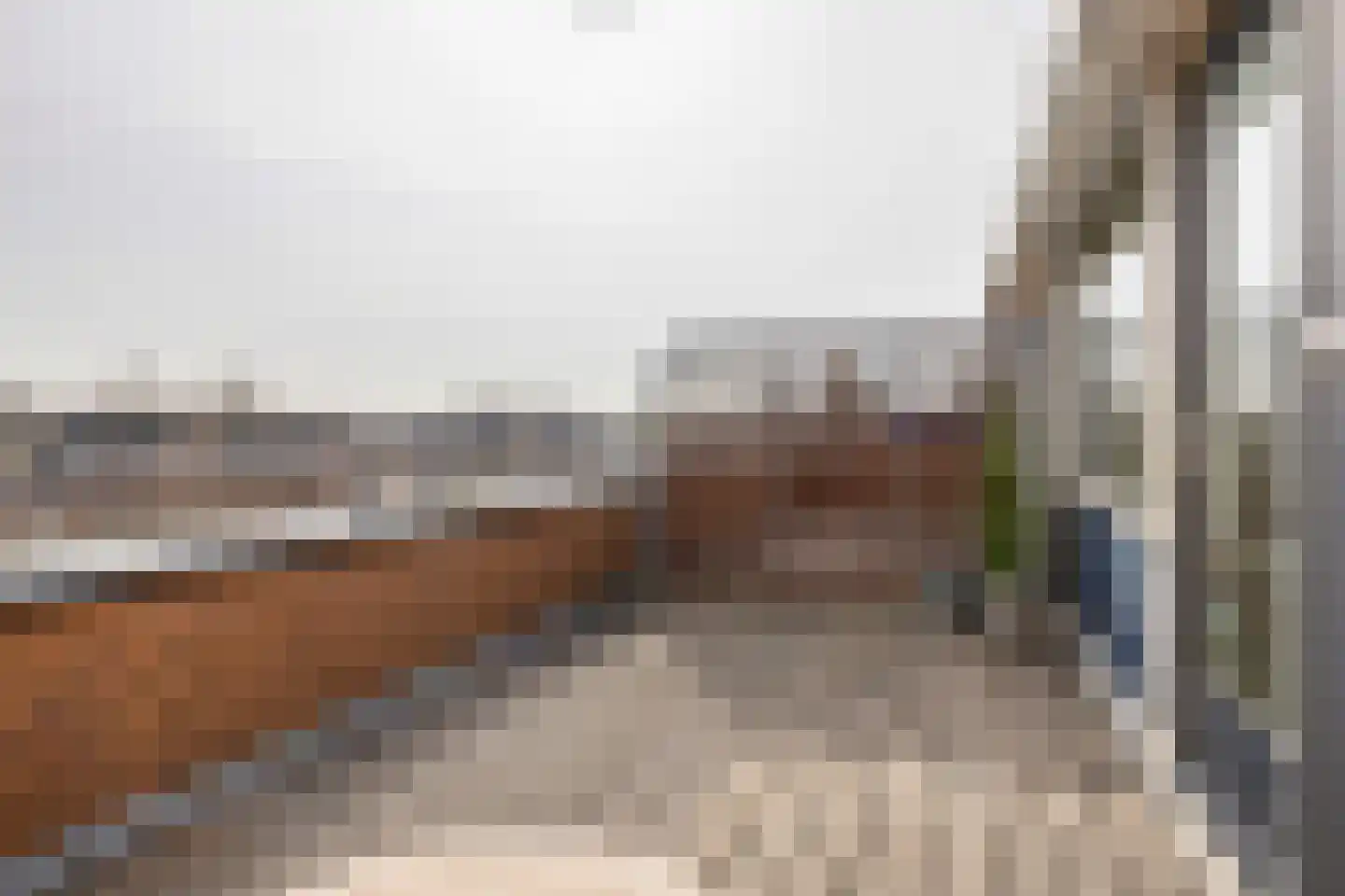 Johannes Petri-laan 13 Harkstede thumbnail 37