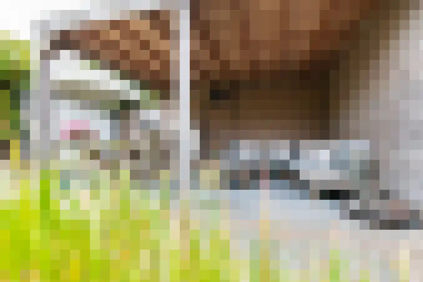 Johannes Petri-laan 4 Harkstede thumbnail 32