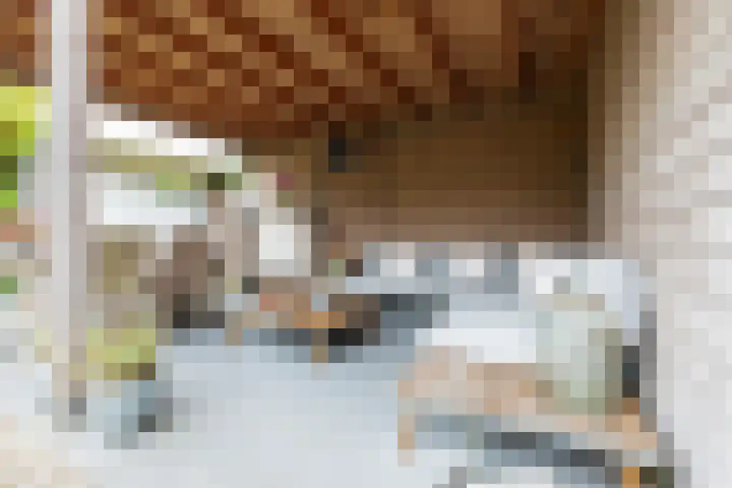 Johannes Petri-laan 4 Harkstede thumbnail 33