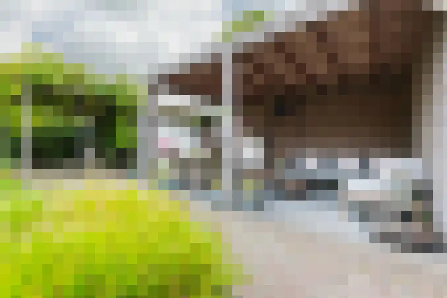 Johannes Petri-laan 4 Harkstede thumbnail 34