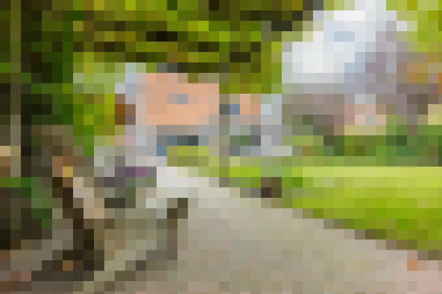Johannes Petri-laan 4 Harkstede thumbnail 35