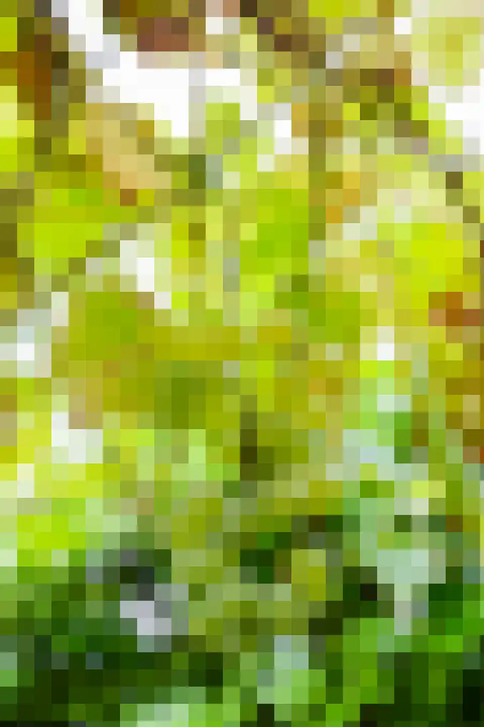 Johannes Petri-laan 4 Harkstede thumbnail 36