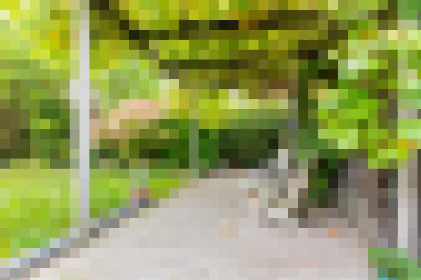 Johannes Petri-laan 4 Harkstede thumbnail 37