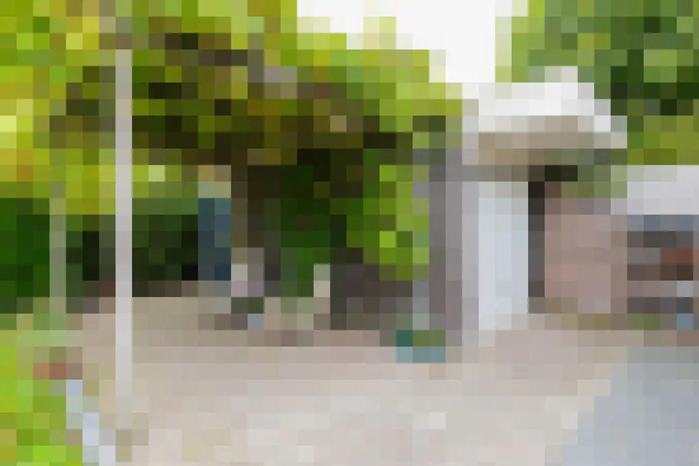 Johannes Petri-laan 4 Harkstede thumbnail 38