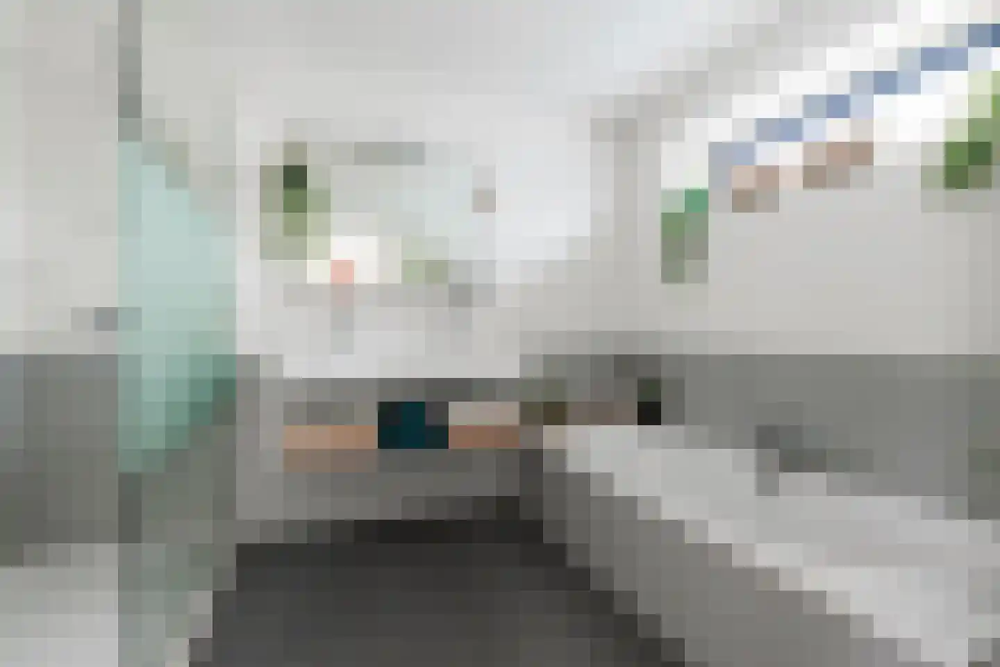 Johannes Petri-laan 4 Harkstede thumbnail 49