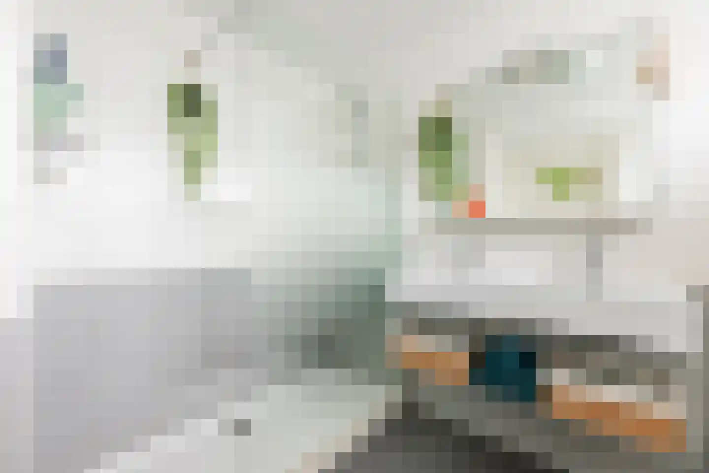 Johannes Petri-laan 4 Harkstede thumbnail 50