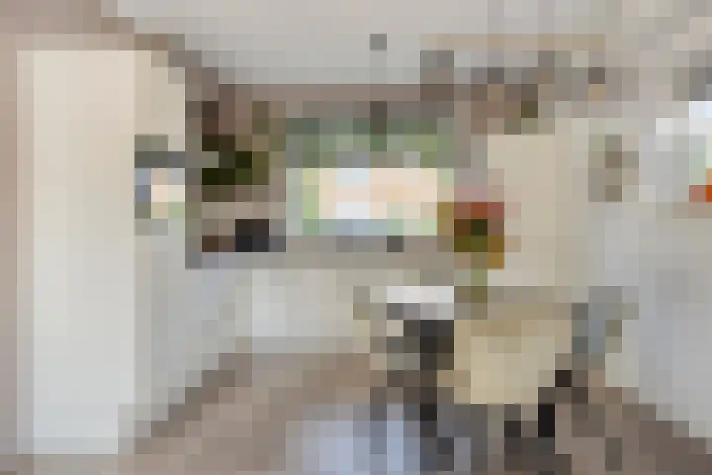 Johannes Post 20 Bunschoten-Spakenburg thumbnail 8