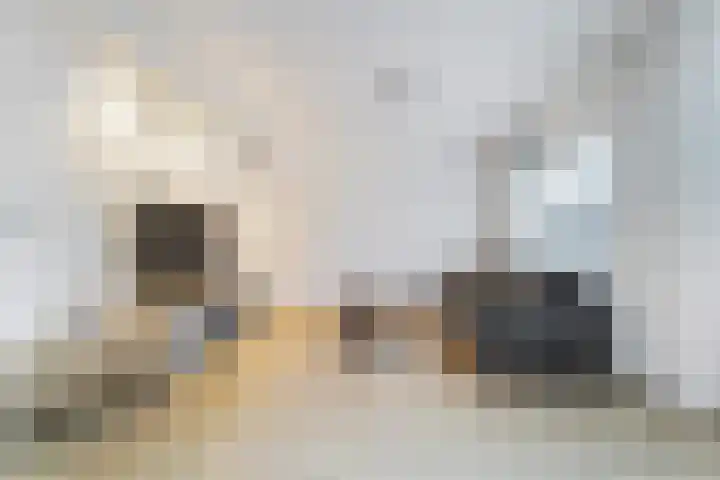Johannes Postkwartier 2 Middelburg thumbnail 12