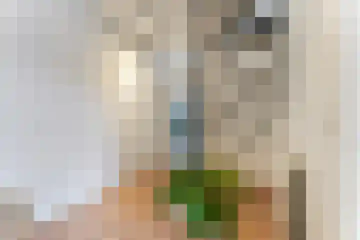 Johannes Postkwartier 2 Middelburg thumbnail 14
