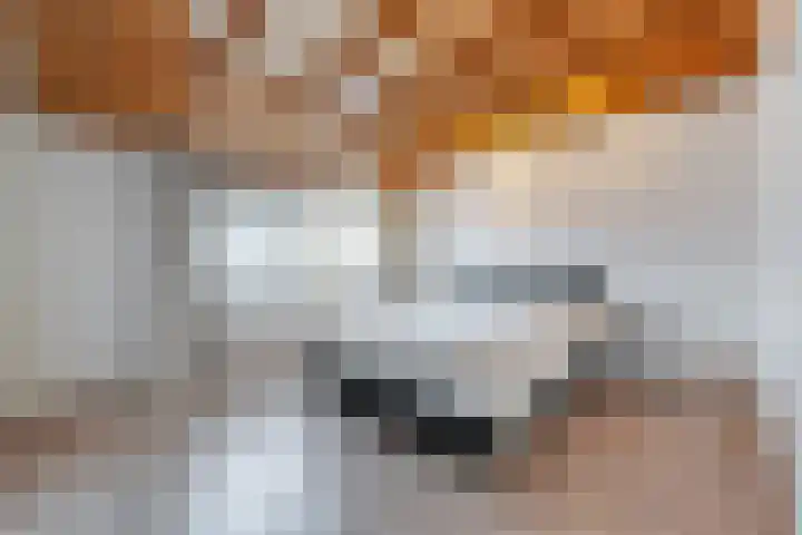 Johannes Postkwartier 2 Middelburg thumbnail 18