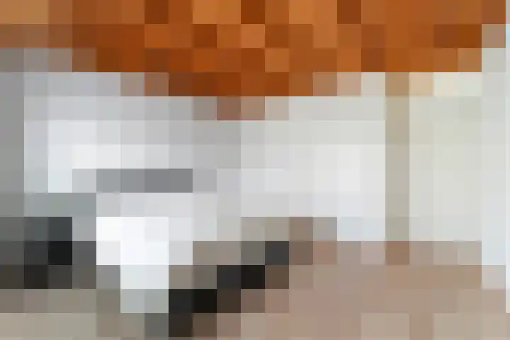 Johannes Postkwartier 2 Middelburg thumbnail 19