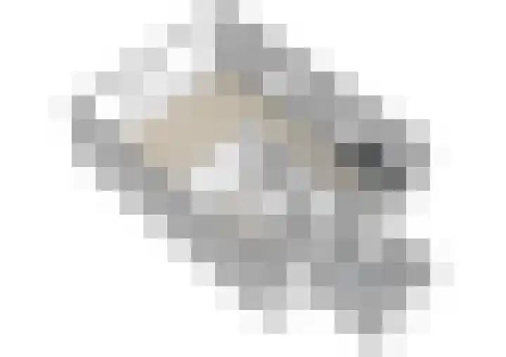 Johannes Postkwartier 2 Middelburg thumbnail 35