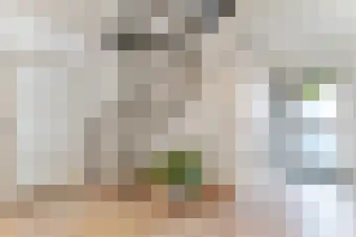 Johannes Postkwartier 2 Middelburg thumbnail 4