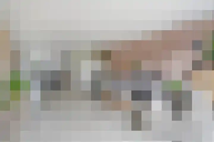Johannes Postkwartier 94 Middelburg thumbnail 11
