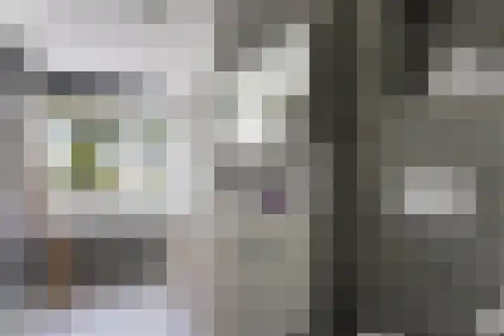 Johannes Postkwartier 94 Middelburg thumbnail 20