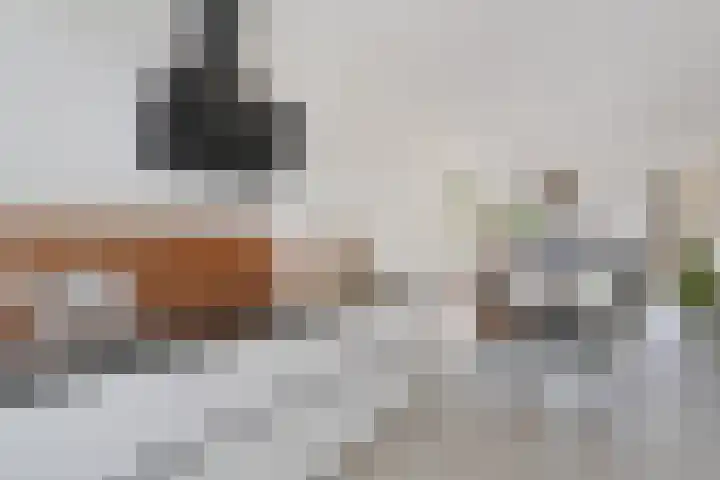 Johannes Postkwartier 94 Middelburg thumbnail 9
