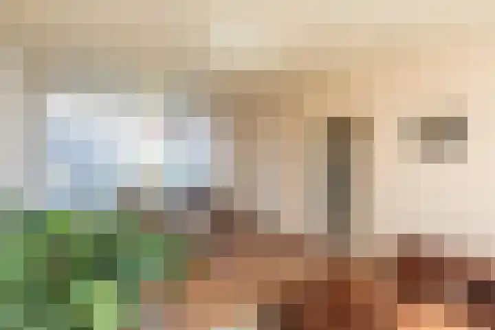 Johannes Postlaan 19 Heerjansdam thumbnail 10