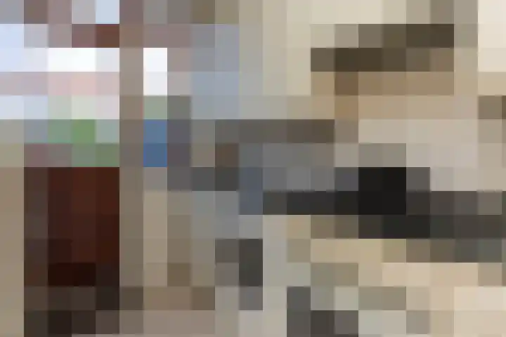 Johannes Postlaan 19 Heerjansdam thumbnail 13