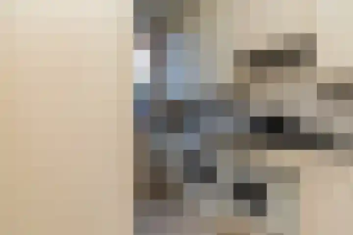 Johannes Postlaan 19 Heerjansdam thumbnail 15