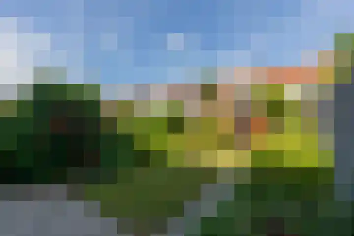 Johannes Postlaan 19 Heerjansdam thumbnail 28
