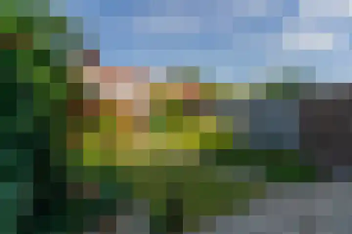 Johannes Postlaan 19 Heerjansdam thumbnail 29