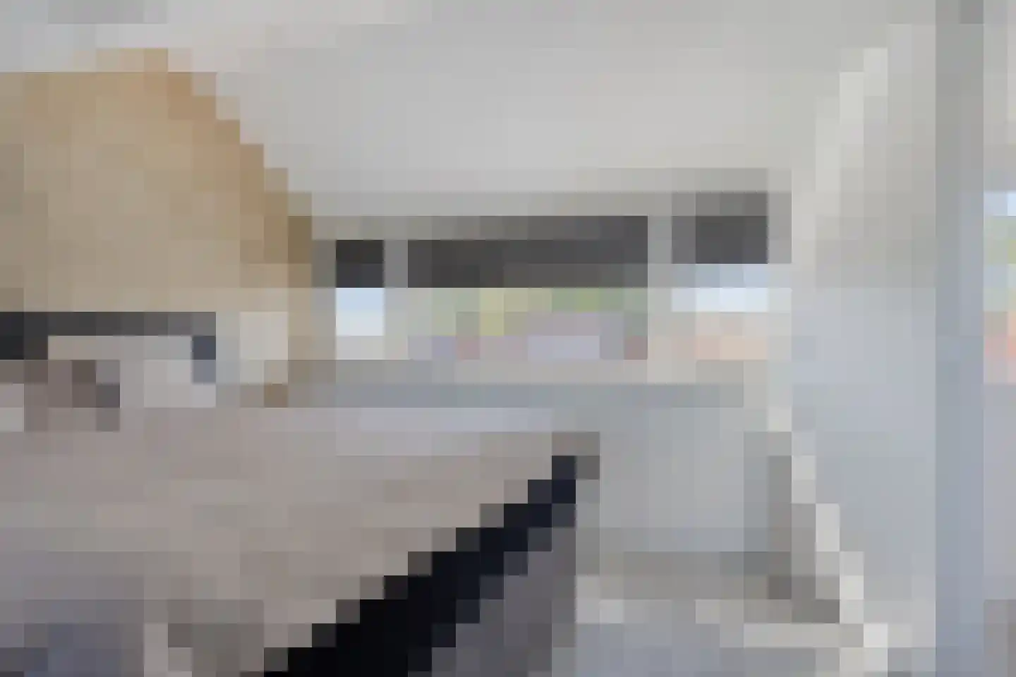Johannes Postlaan 21 Heerjansdam thumbnail 40