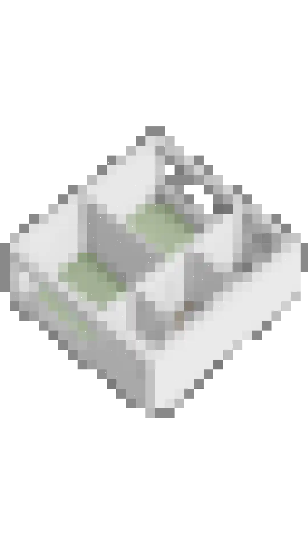 Johannes Postlaan 21 Heerjansdam thumbnail 64