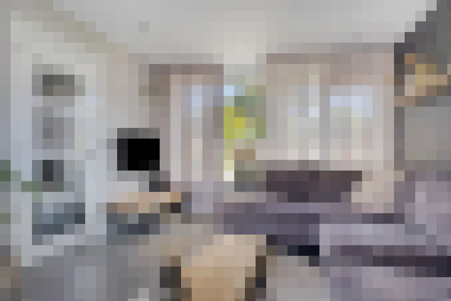Johannes Postlaan 21 Heerjansdam thumbnail 7