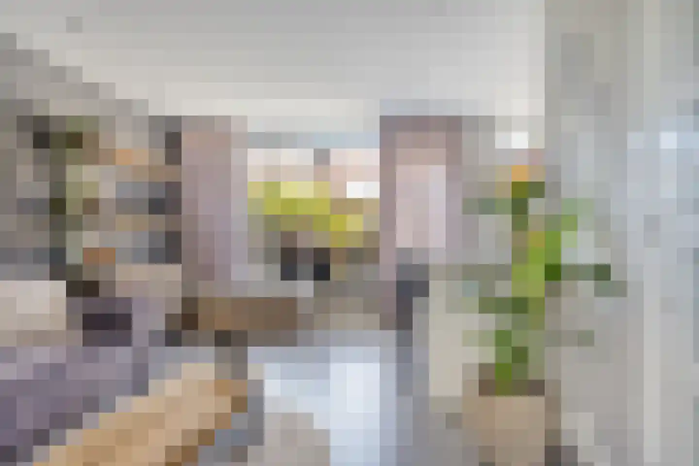 Johannes Postlaan 21 Heerjansdam thumbnail 8