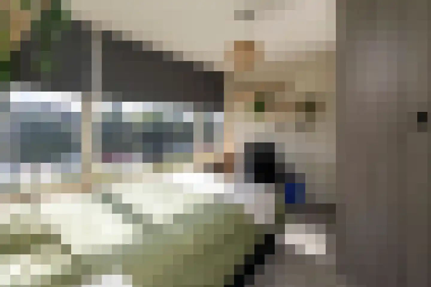 Johannes Postlaan 31 Heerjansdam thumbnail 19