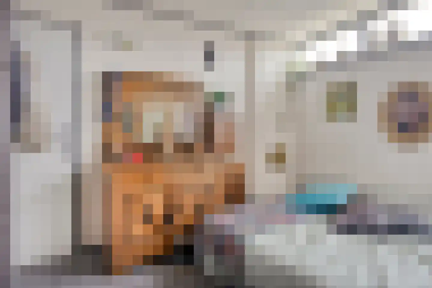 Johannes Postlaan 6 Heerjansdam thumbnail 19
