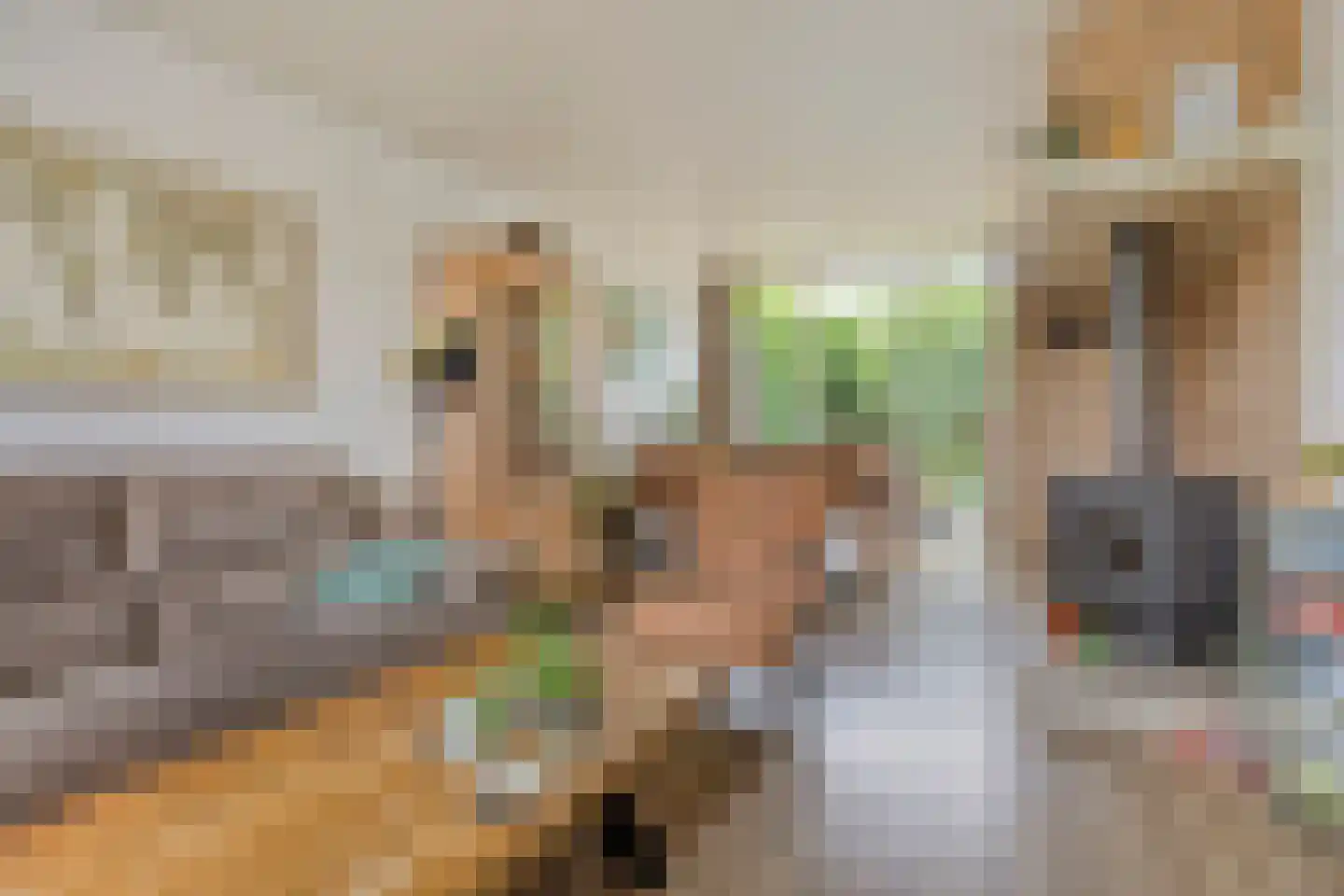 Johannes Postlaan 6 Heerjansdam thumbnail 4