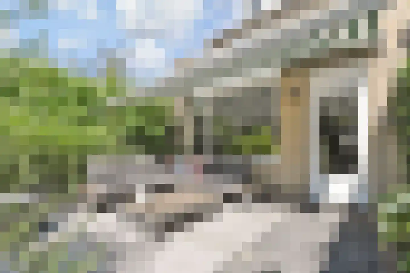 Johannes Poststraat 1 Leidschendam thumbnail 22
