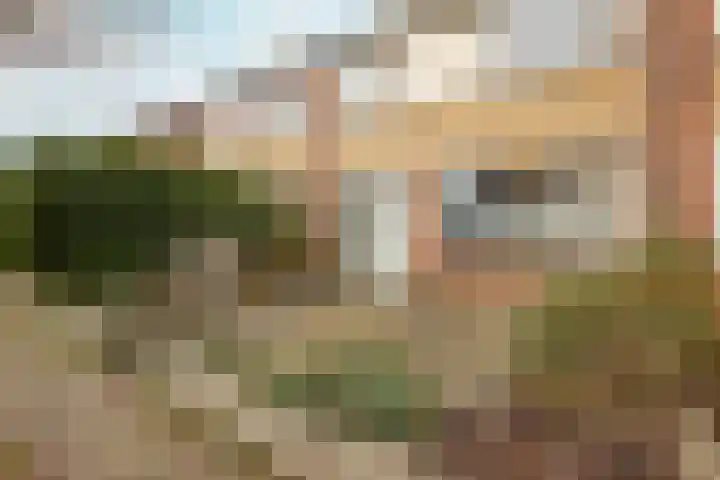 Johannes Poststraat 11 Middenbeemster thumbnail 6