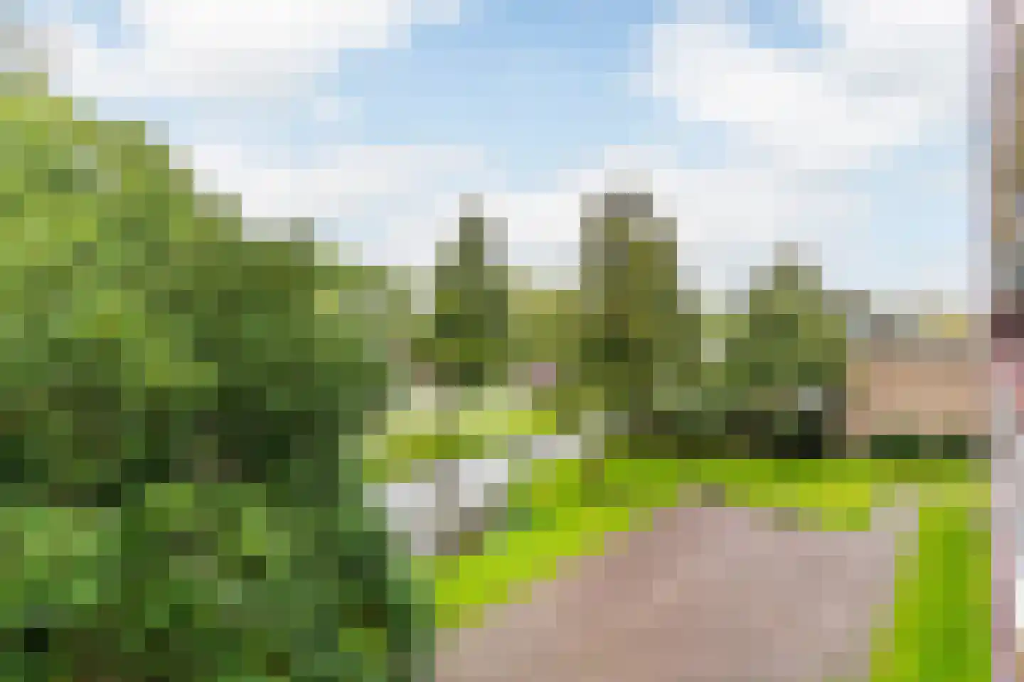Johannes Poststraat 157 Zwijndrecht thumbnail 38