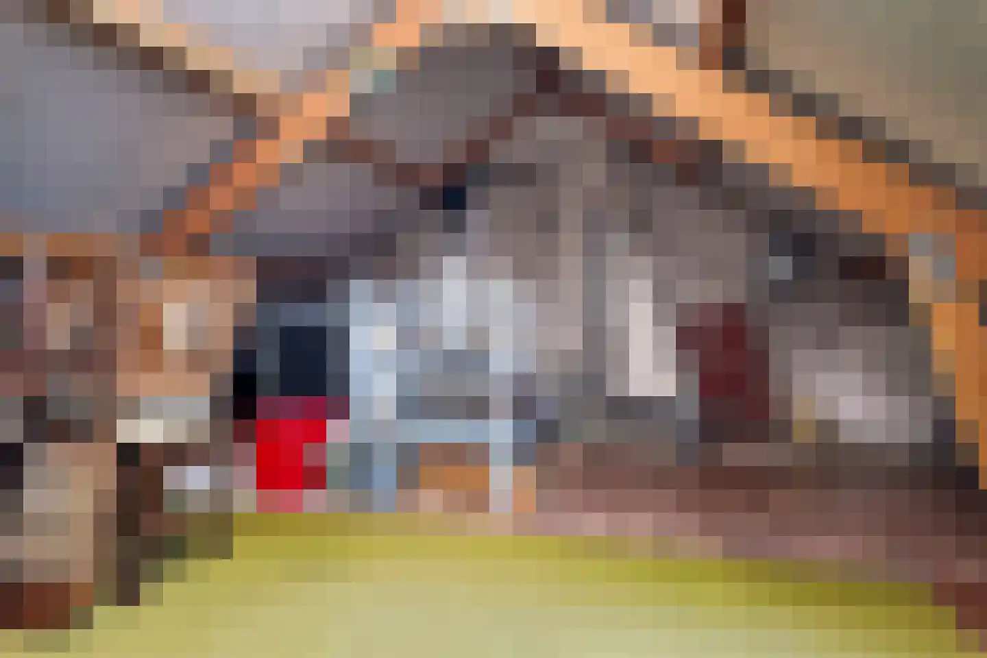 Johannes Poststraat 17 Middenbeemster thumbnail 39