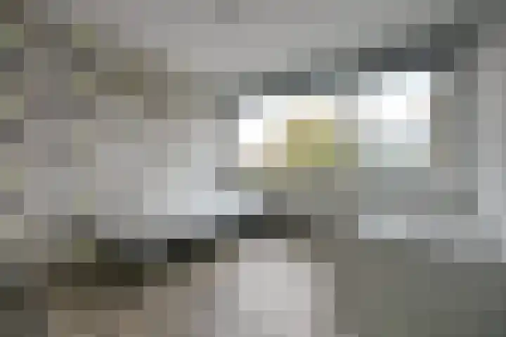 Johannes Poststraat 18 Rijnsburg thumbnail 31