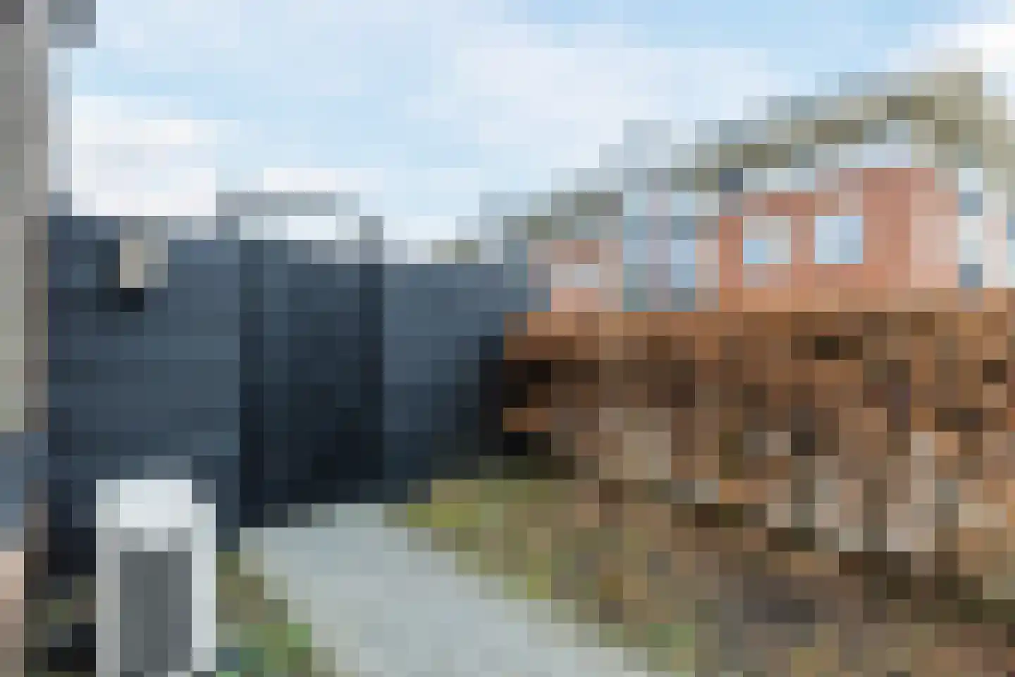 Johannes Poststraat 4 Hoorn thumbnail 35